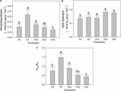 Effects of Nitrate Enrichment on Respiration, Photosynthesis, and Fatty Acid Composition of Reef Coral Pocillopora damicornis Larvae